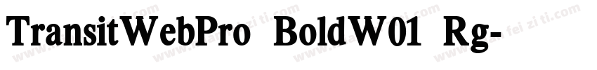 TransitWebPro BoldW01 Rg字体转换